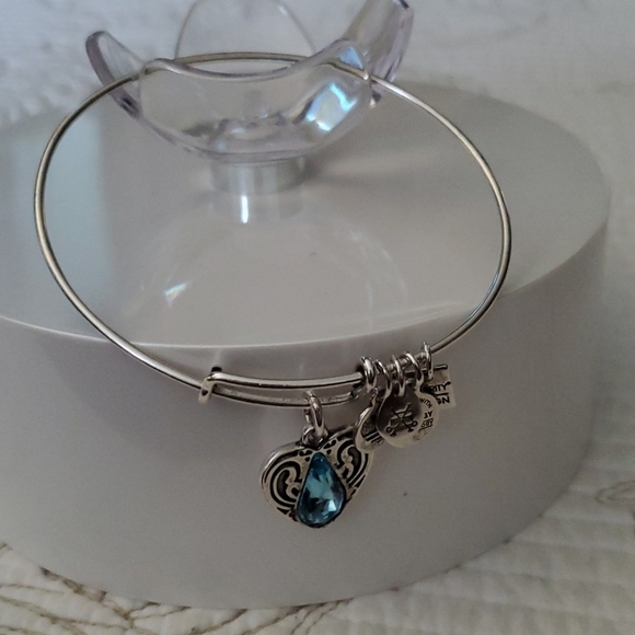 Alex and Ani Charity by Design Living Water II EWB - Picture 4 of 4